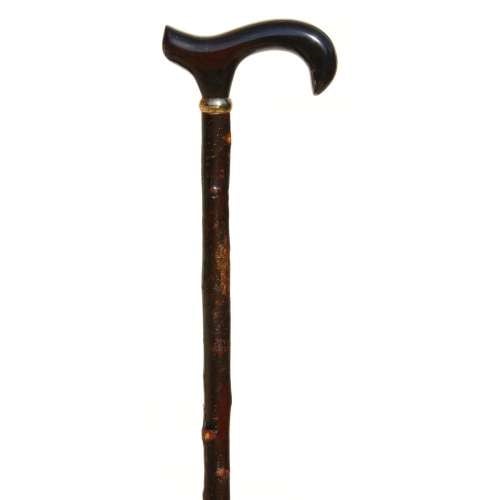 Sandalwood on Blackthorn Derby Walking Stick