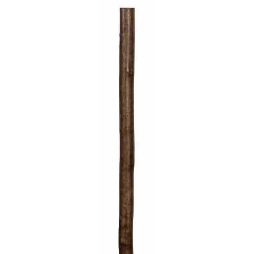 Hazel Walking Stick Shank - 135cm