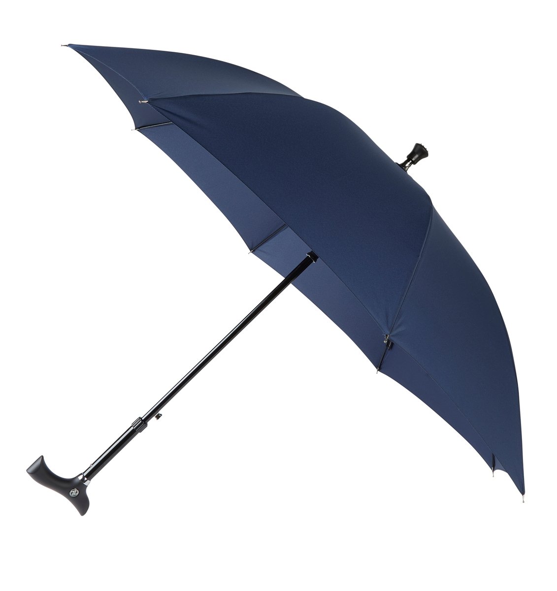 Blue Umbrella Walking Stick