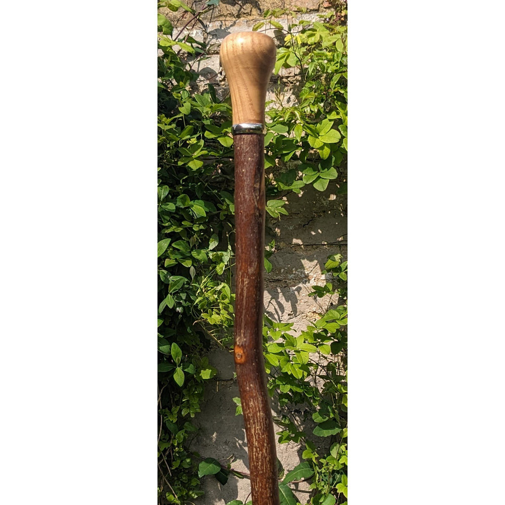 Rippled Ash Bendy Walking Stick - 95cm