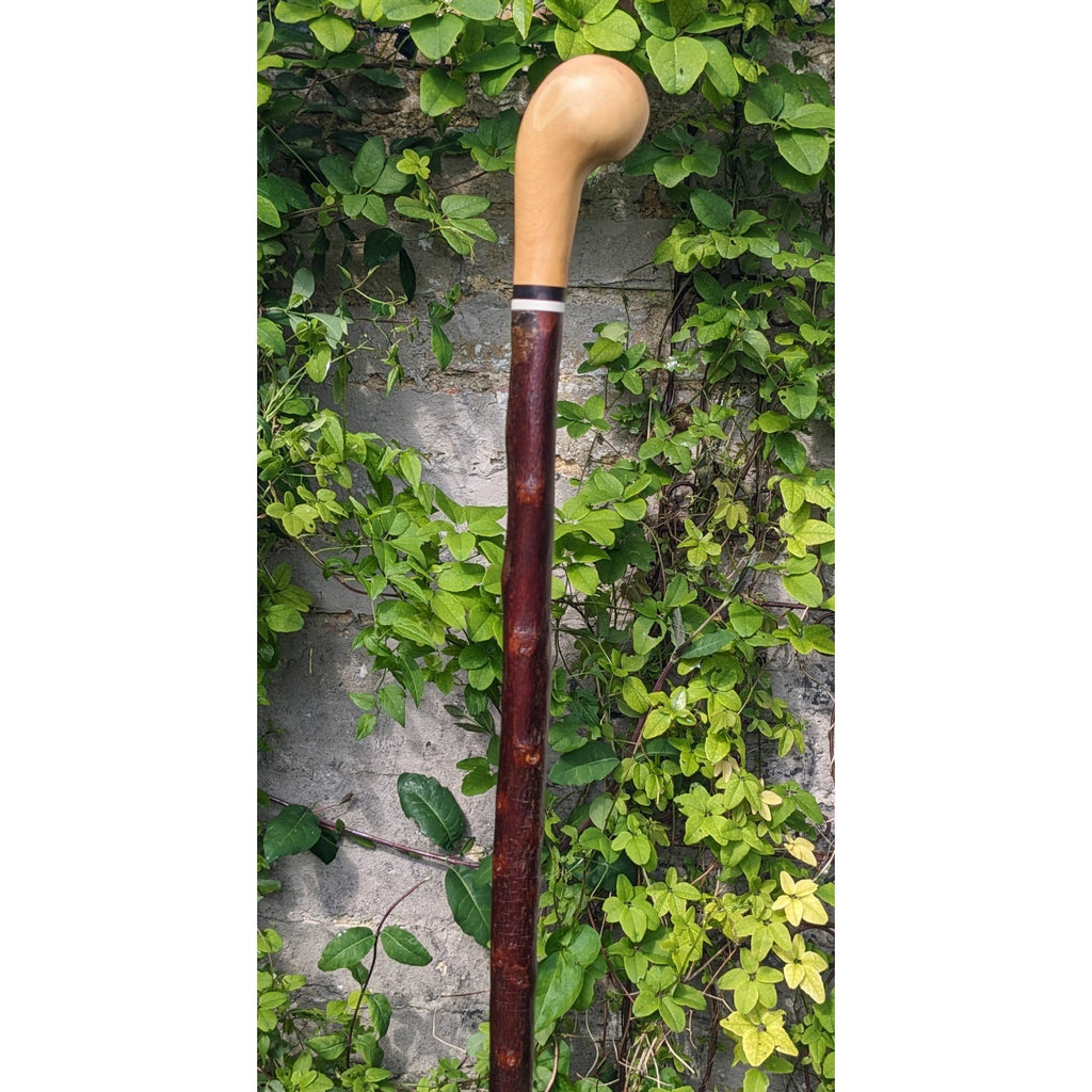 Box Wood Pistol Grip Cane on Cherry - 96cm