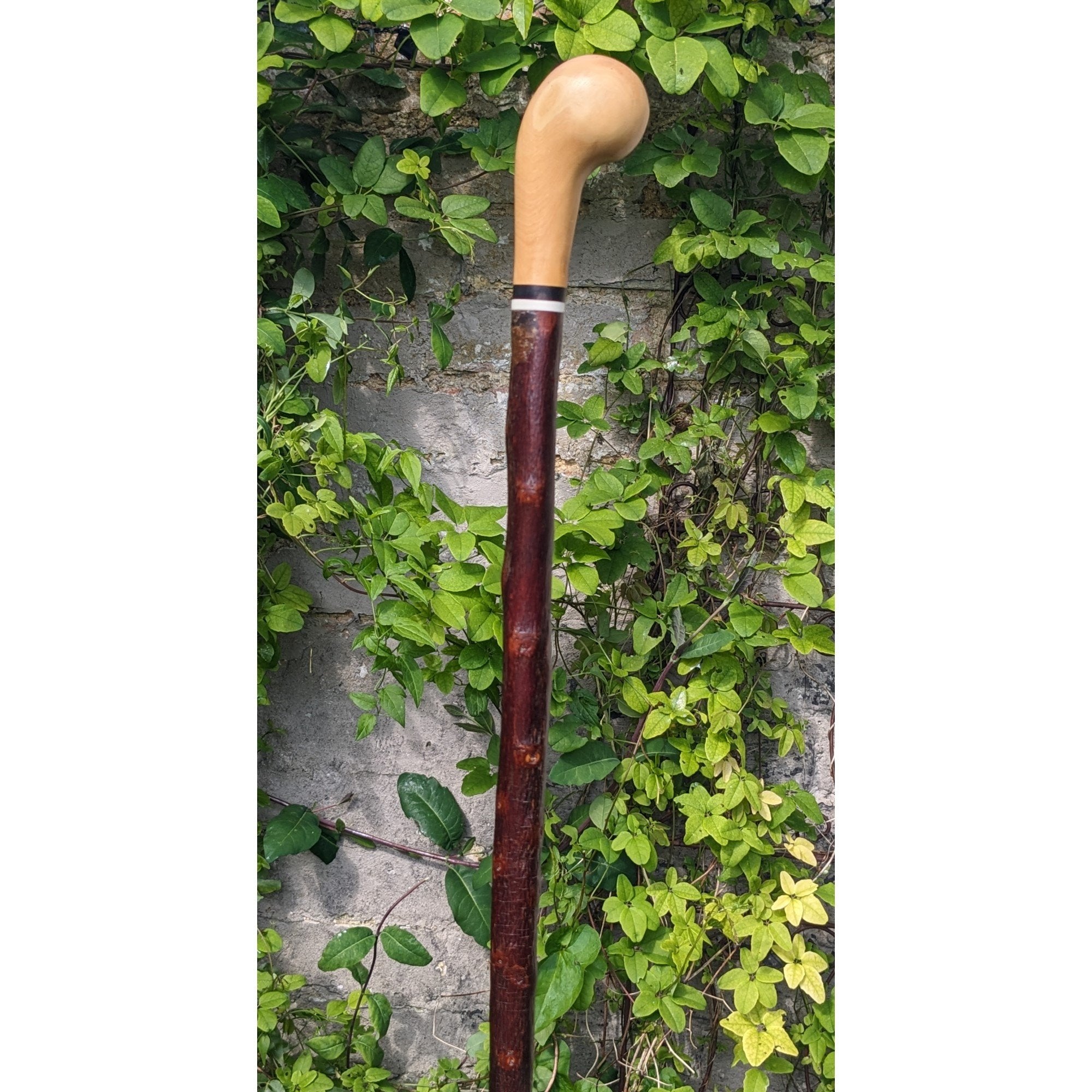 Box Wood Pistol Grip Cane on Cherry - 96cm