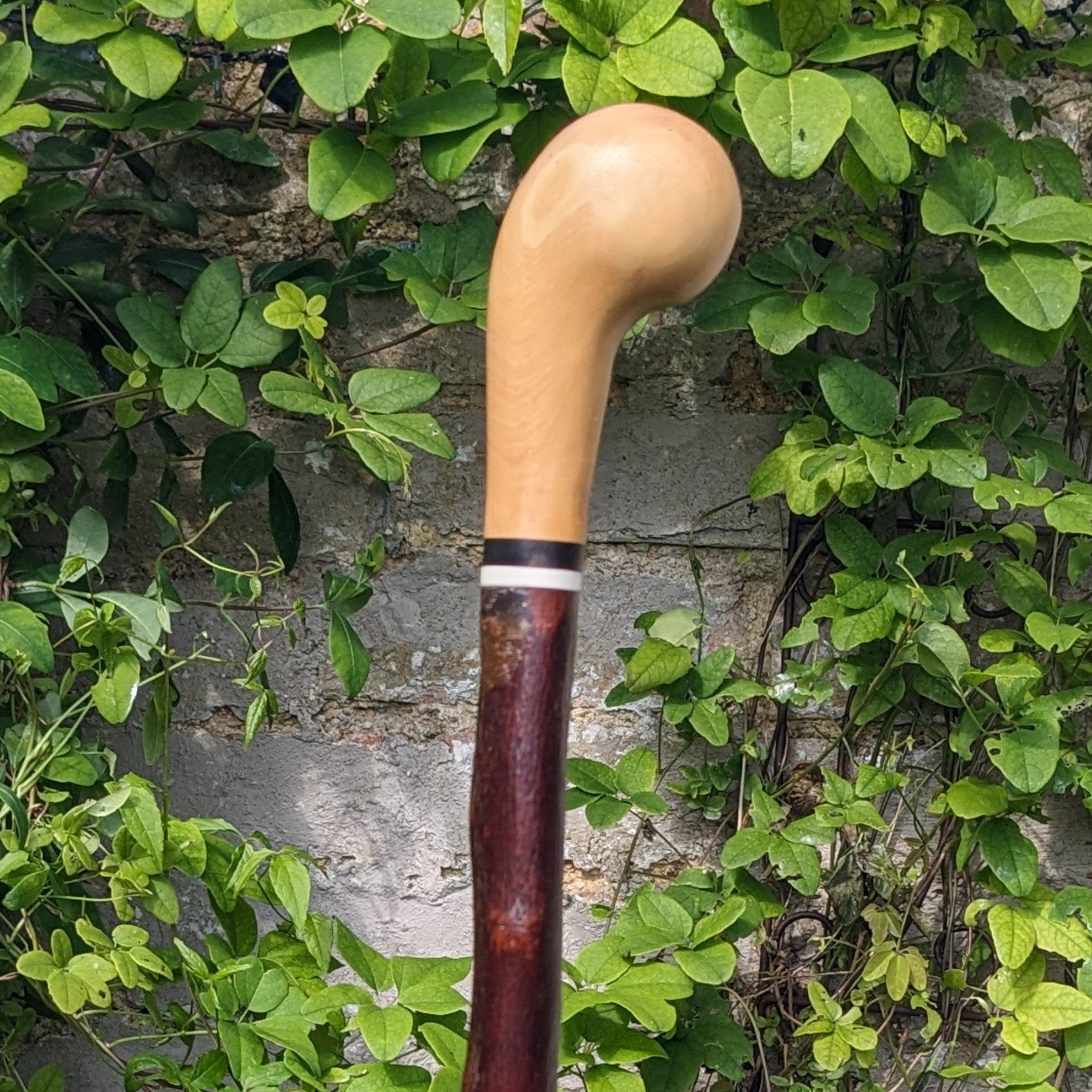 Box Wood Pistol Grip Cane on Cherry - 96cm