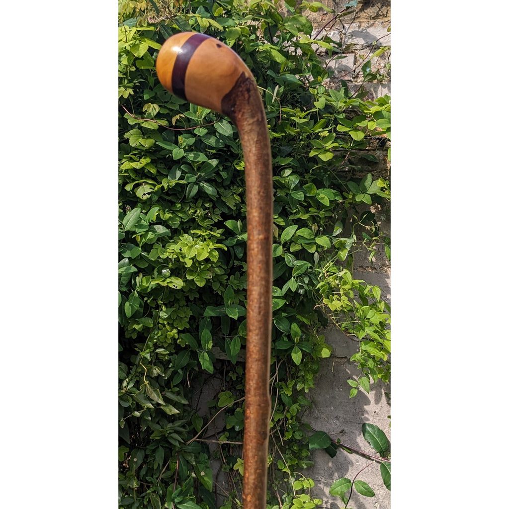 Hazel Knobstick with Ash & Mahogany Handle - 95cm