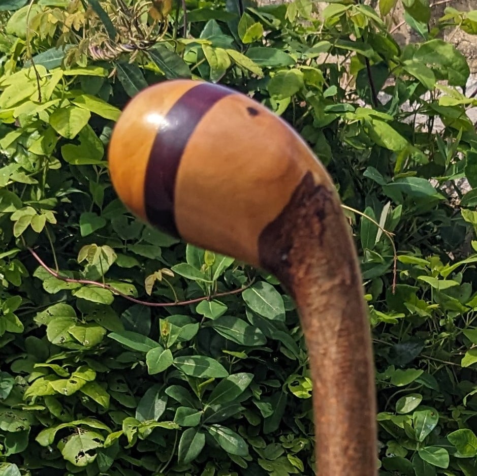 Hazel Knobstick with Ash & Mahogany Handle - 95cm