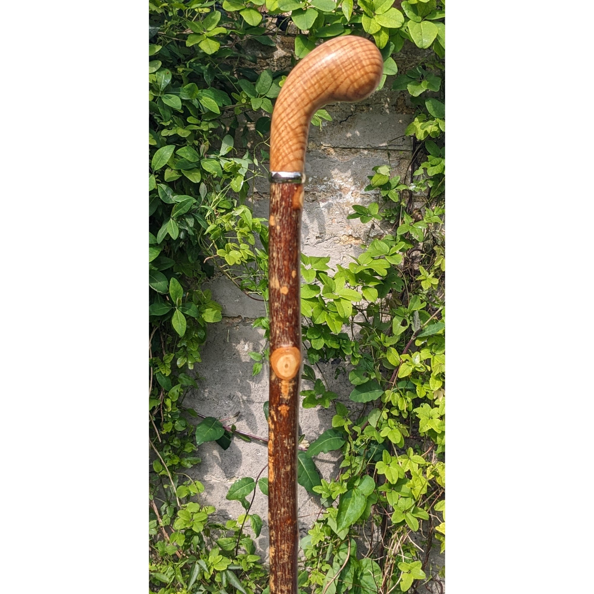 Ash Pistol Grip Walking Stick with Rippled Ash Handle- 98cm