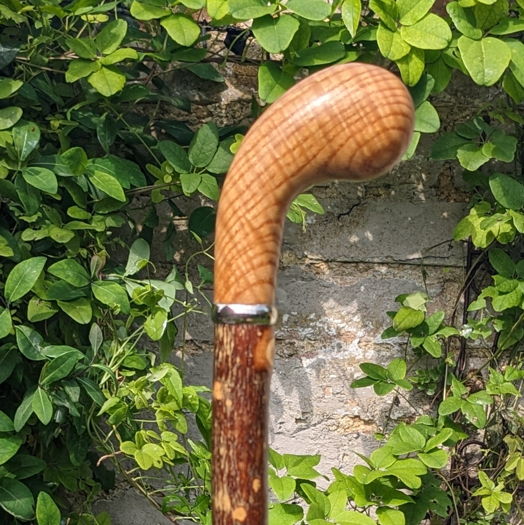 Ash Pistol Grip Walking Stick with Rippled Ash Handle- 98cm