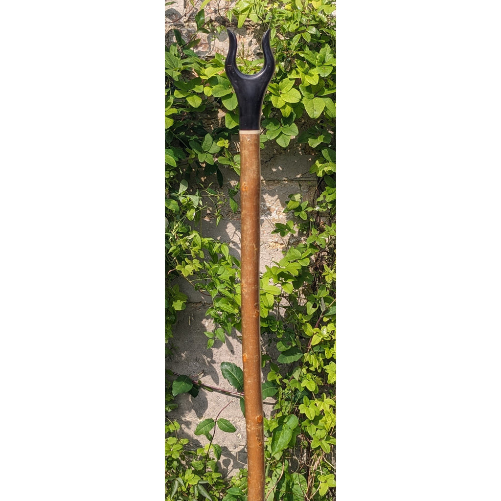 Rare Ash Lyre Handle Walking Stick - 135cm