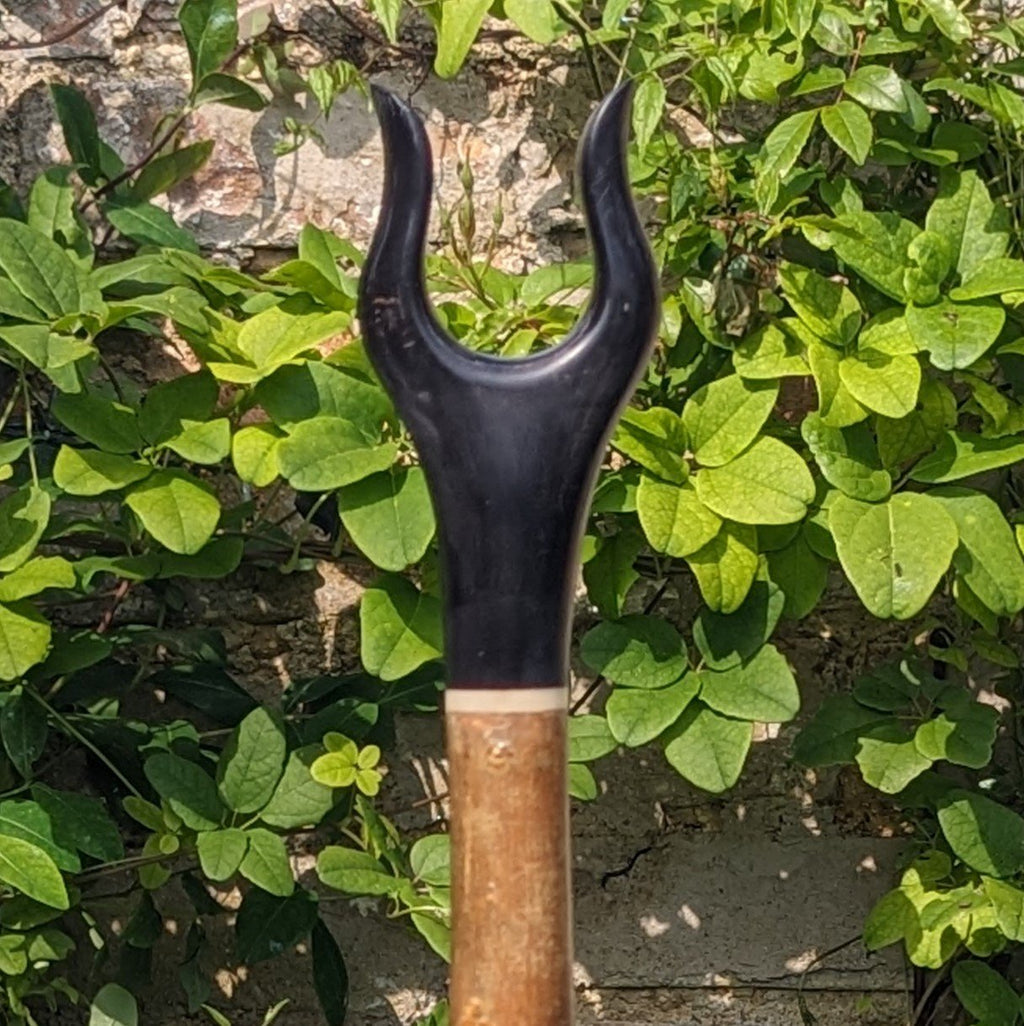 Rare Ash Lyre Handle Walking Stick - 135cm