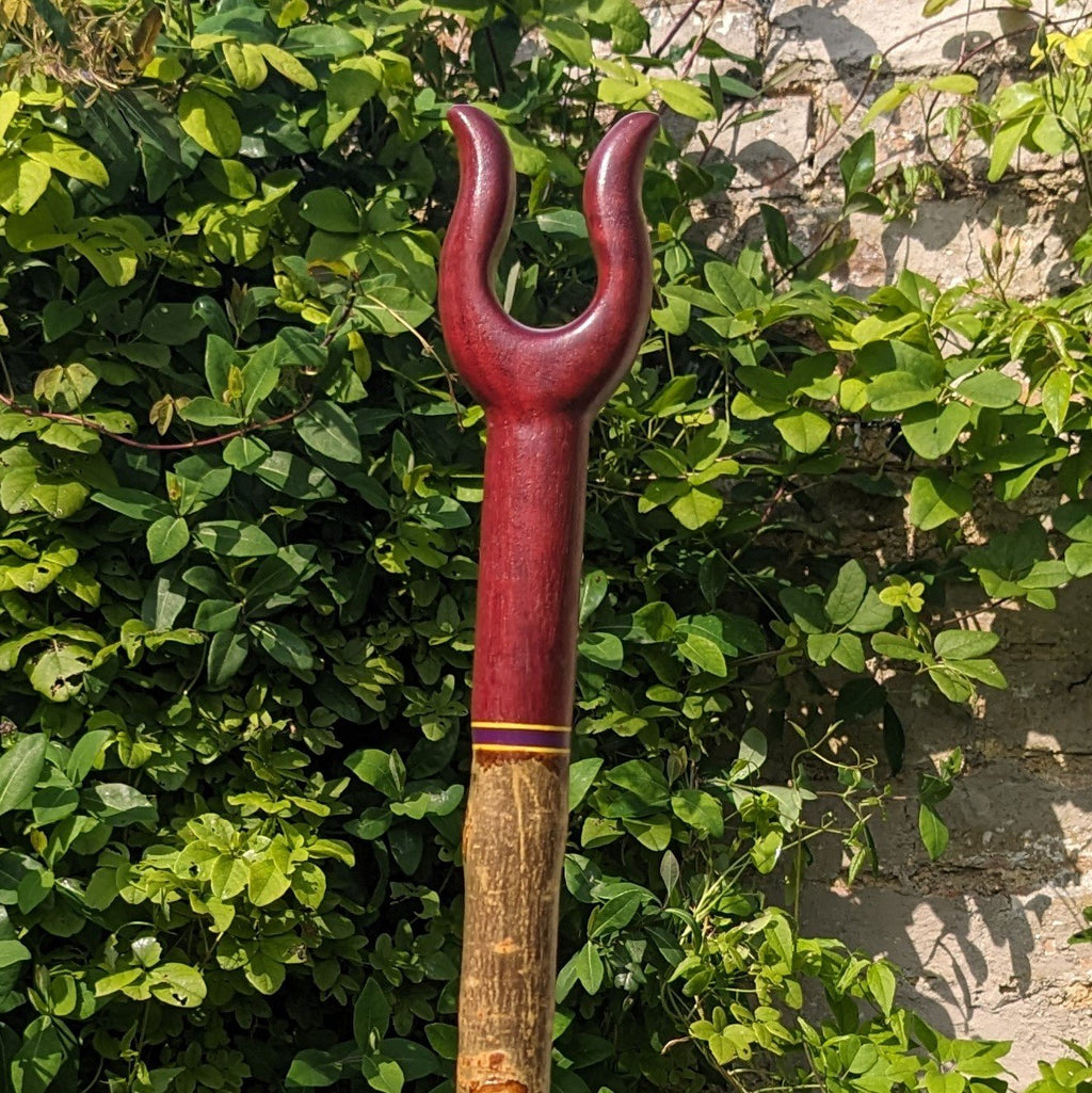 Ash Lyre Handled Stick with Purpleheart Top - 134cm