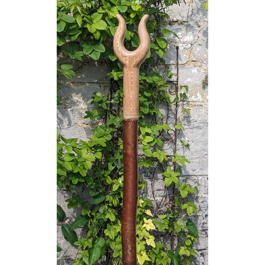 Lacewood Lyre Handle Walking Stick on Hazel - 132cm