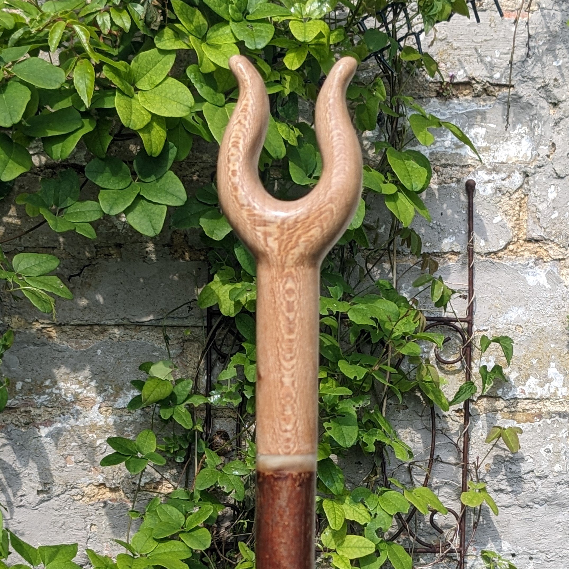 Lacewood Lyre Handle Walking Stick on Hazel - 132cm