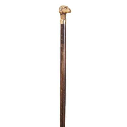 Dog Walking Stick