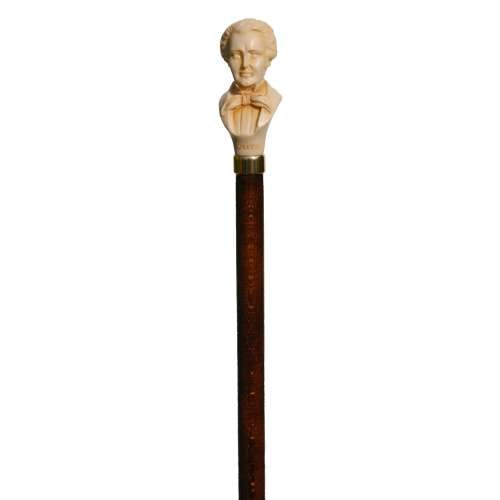 Schubert Topper Walking Stick