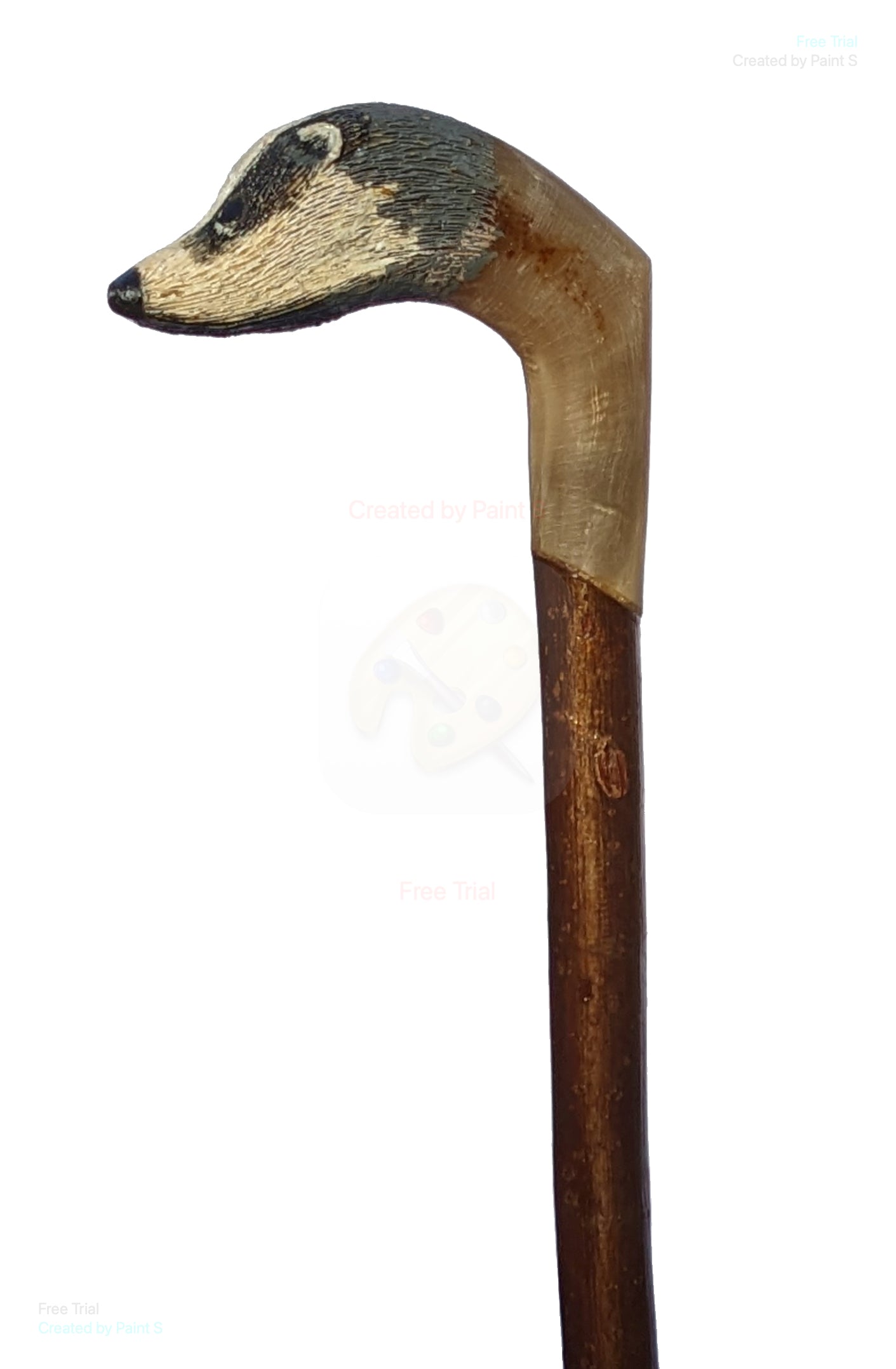 Rams Horn Stick with Badger Topper