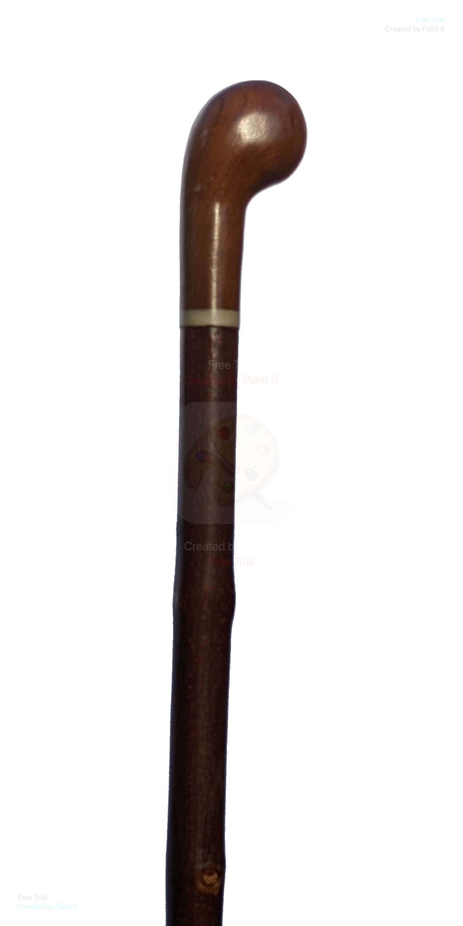 Sycamore Pistol Grip Walking Stick