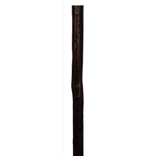 Chestnut Walking Stick Shank - 135cm