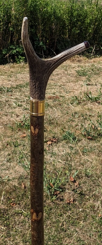 Made to Order Thumbstick with Antler Handle & Engraved Plate