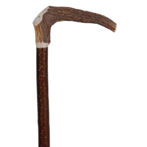 Stag Antler Stick with Walnut Wood Handle Top