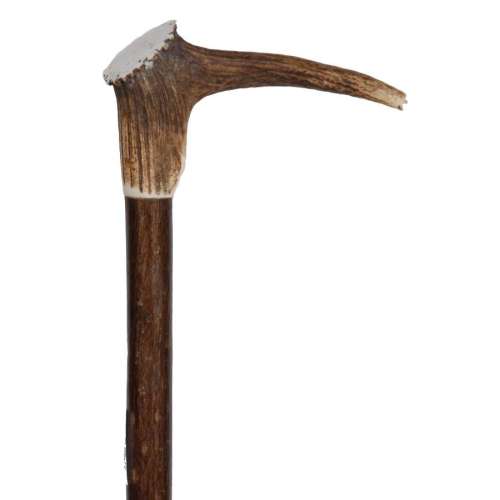 Crown Handled Stag Antler Stick
