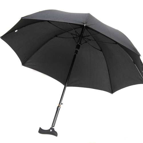 Black Umbrella Walking Stick